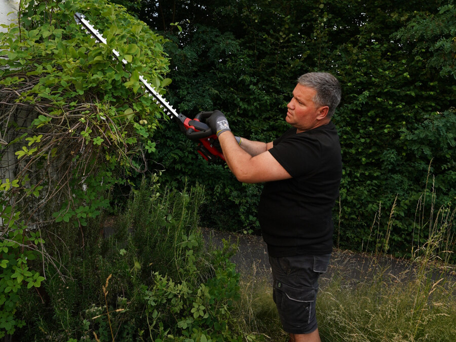 Hecke schneiden